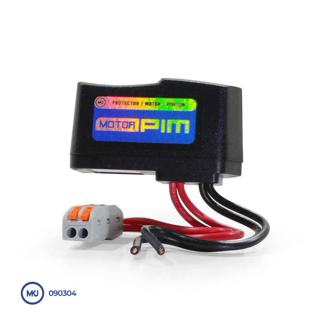 MOTOR PIM